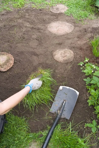 Uma Pessoa Escava Grama Jardim Usando Uma — Fotografia de Stock