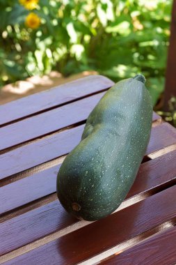 Olgun kabak, yazın bahçede, tahta bir masada yatıyor. 