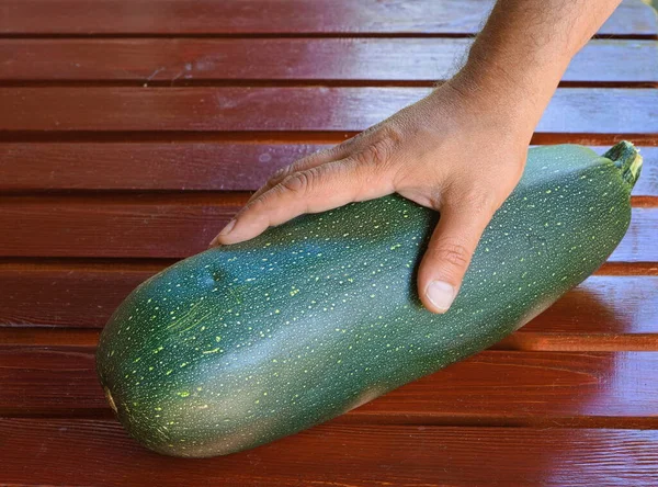 Taze meyve kabağı verandada masanın üzerinde tutulur. 