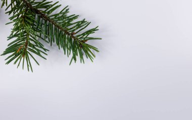 Noel dekorasyonları, doğal çevre, beyaz arka planda yeşil yumuşak ağaç. Hediye kartı konsepti.