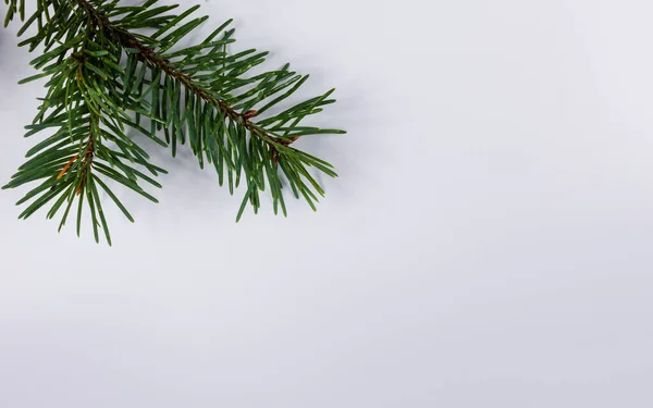 Decorações Natal Eco Quadro Natural Árvore Macia Verde Fundo Branco — Fotografia de Stock