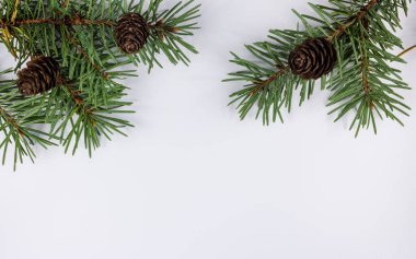 Yeni yıl, Noel konsepti hediye kartı, doğal çerçeve. Beyaz arka planda kahverengi koni olan yeşil köknar dalları. Yankı dekorasyonu