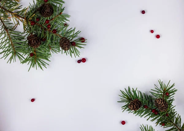 クリスマス休暇のコンセプトギフトカード自然なフレーム 白い背景に赤い果実と茶色のコーンを持つ緑のモミの枝 角のエコ装飾 — ストック写真
