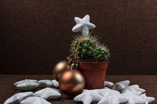Yaratıcı Noel ağacı, altın küreli kaktüs ve parlak yıldızlar, kahverengi arka planda hediye kartı kavramı