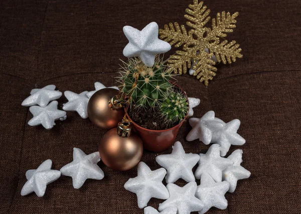 Árvore Natal Criativa Cacto Com Bola Ouro Decoração Flocos Neve — Fotografia de Stock