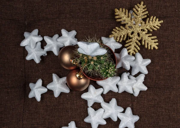 創造的なクリスマスツリー 金色のボールと雪の結晶の装飾と光沢のある星を持つサボテン 茶色の背景にギフトカードの背景の概念 上からの眺め — ストック写真