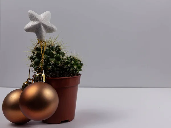 金ガラス装飾と白い光沢のある木の星と創造的なサボテンのクリスマスツリー — ストック写真