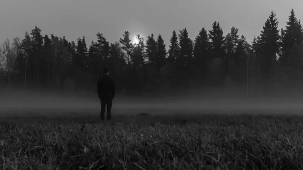 自然の森の牧草地黒と白の幽霊の写真は 男性のシルエット暗い森の中を見て — ストック写真