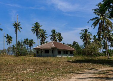 Palmiye ağaçlarının ortasında, kuru bir yerde inşaat halindeki kalabalık bir ev.