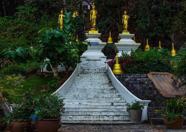 Krabi, Tayland - 29 Mart 2019 Kaplan Tapınağı dekoratif beyaz kaya merdivenleri, altın Buda heykelleri, bahçe çiçekleri