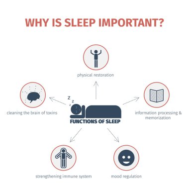 Uyku Infographic. Zihin haritası