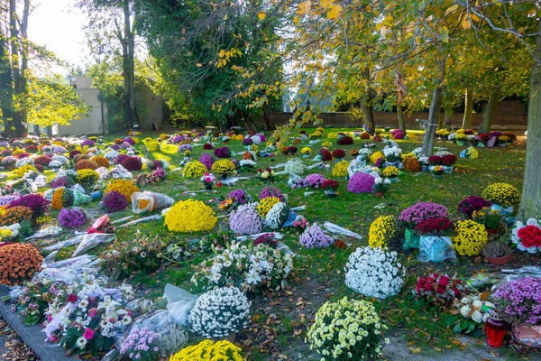 Belgium Charleroi Gilly Cemetery Bloom All Saints Day Cemetery Group — Stock Photo, Image