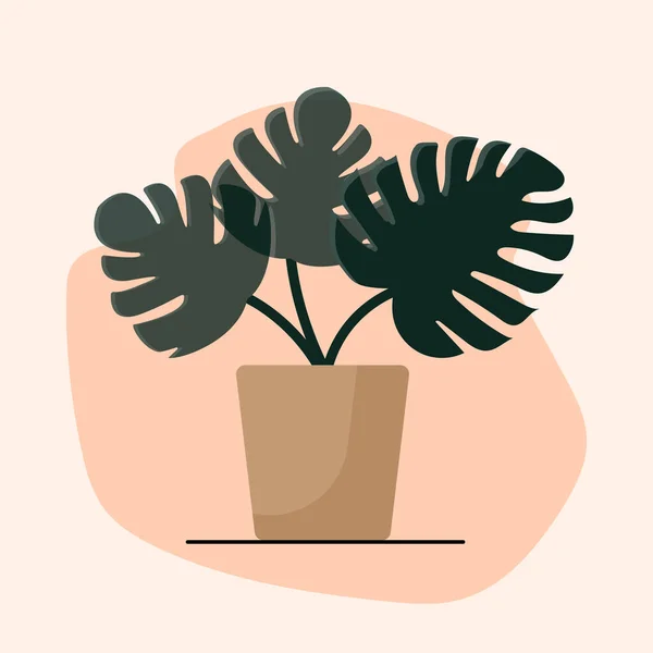 Composition Tendance Usine Monstera Pot — Image vectorielle