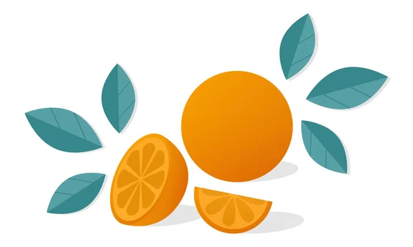 Orange Zitrusfrüchte Mit Orangenscheiben Und Blättern Vektor Illustration Isoliert Auf — Stockvektor