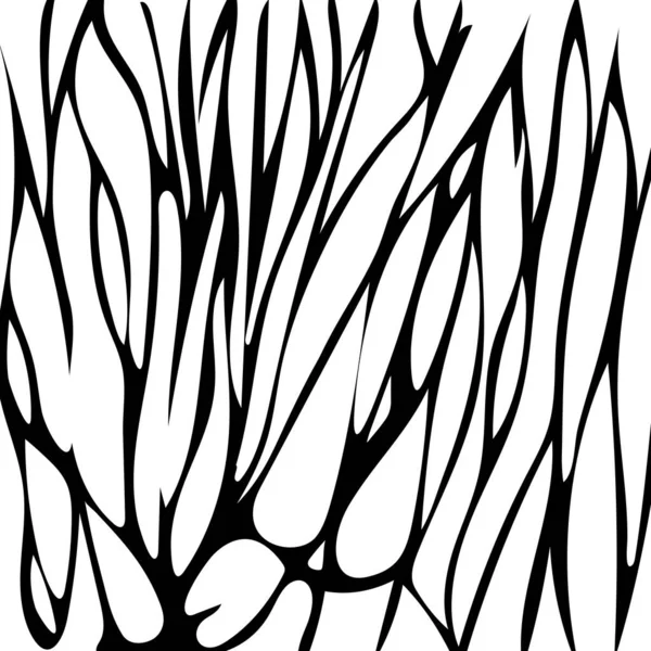 Фон Печати Животных Белом Фоне Черными Полосами Зебра Гепард Леопард — стоковое фото