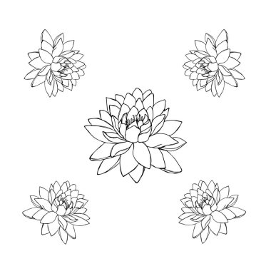 Lotus çiçeklerinin siluetleri. Beş çizimden oluşan bir set. dövme çizimi