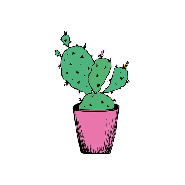 Linie de desen continuă. Cactus de casă într-o oală. ilustrație izolată pe un fundal alb — Vector de stoc
