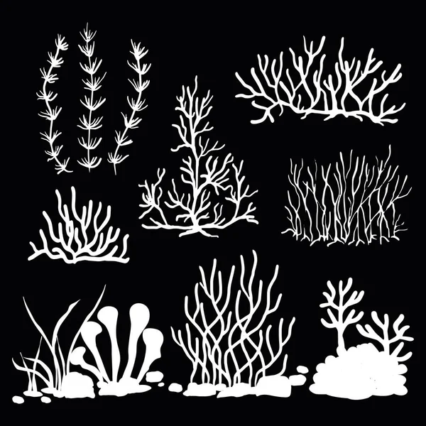 Набор Векторных Белых Силуэтов Водорослей Кораллов Выделенных Черном Фоне — стоковый вектор