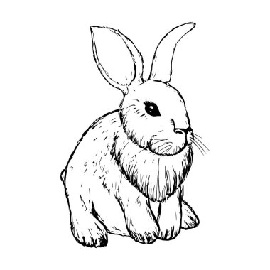 Klasik Grafik Tavşan Vektörü Yazdırma, Tavşan Yazdırma, Çizim