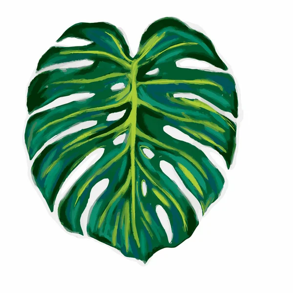 Monstera Tropical Jungle Plant Green Leaves. Ilustração vetorial plana isolada em branco. —  Vetores de Stock