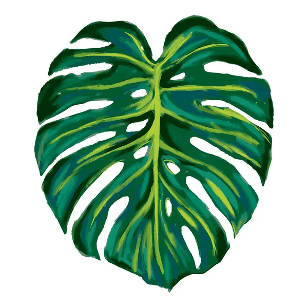Monstera Tropical Jungle Plant πράσινα φύλλα. Επίπεδη απεικόνιση απομονωμένη σε λευκό. — Διανυσματικό Αρχείο