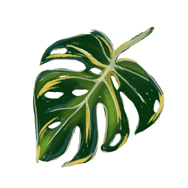 Canavar Tropikal Orman Bitkisi Yeşil Yapraklar. Düz Çizim Beyaz Üzerine İzole Edildi.