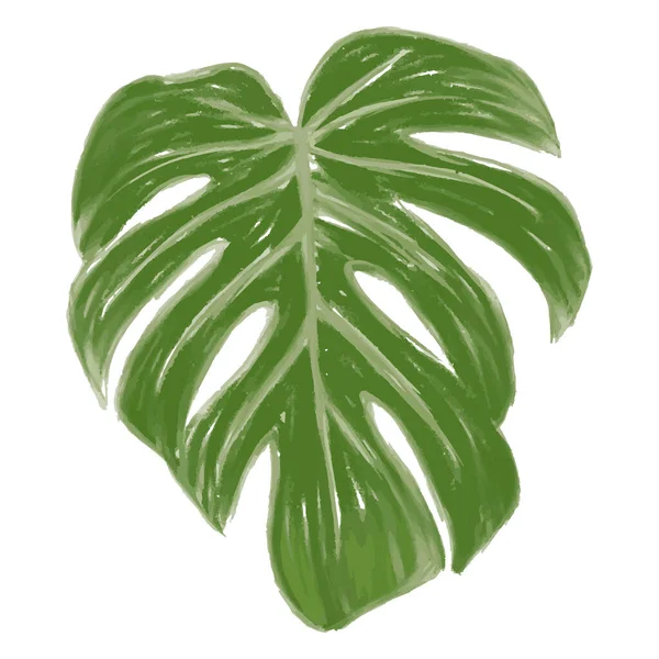 Monstera Tropical Jungle Plant Gröna löv. Platt illustration Isolerad på vitt. — Stock vektor