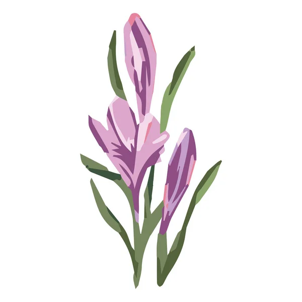 Azafrán, flores decorativas, azafrán púrpura, abstracto, — Archivo Imágenes Vectoriales