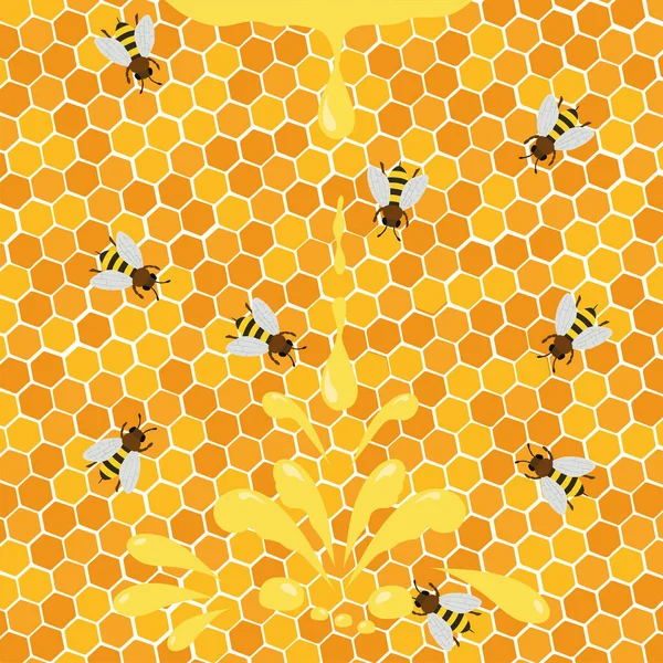 蜂蜜のスプラッシュ蜂蜜店やパン屋を維持するための蜂のハニカムポスターから甘い滴を滴下 ベクトル — ストックベクタ