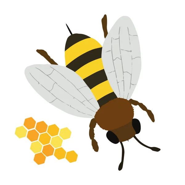 Arı, arı ikonu. Vektör illüstrasyonu — Stok Vektör