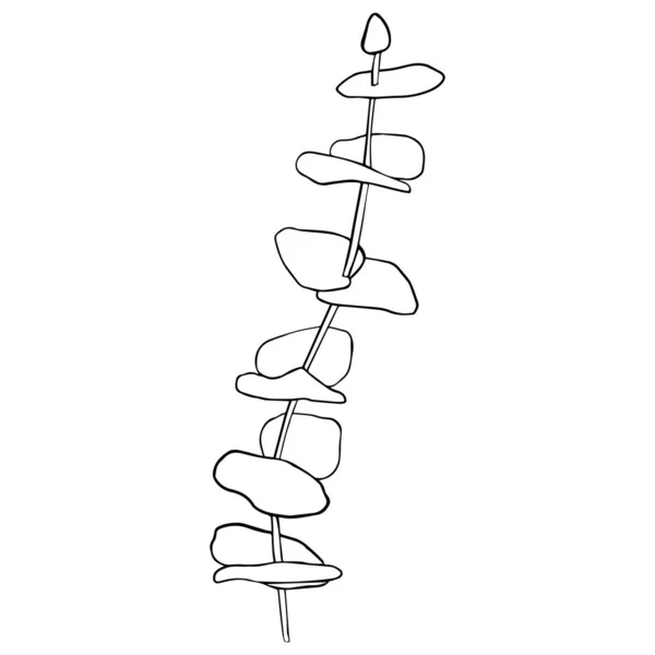 Eucalyptus argent dollar branche ligne continue dessin. Une ligne minimalisme art — Image vectorielle