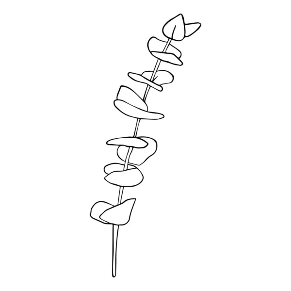 Dibujo continuo de línea de rama de dólar de plata eucalipto. Una línea minimalismo arte — Archivo Imágenes Vectoriales