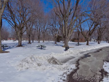 Montreal 'in parklarında kar