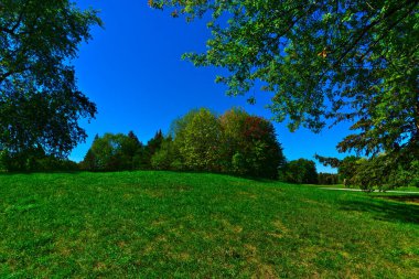 Güneşli bir günde, açık mavi bir gökyüzü ve yeşil yapraklar ve yeşil otlardan oluşan bir ön planla, ağaç yaprağı renginin erken dönem titreşimleri Eylül ayında değişir.