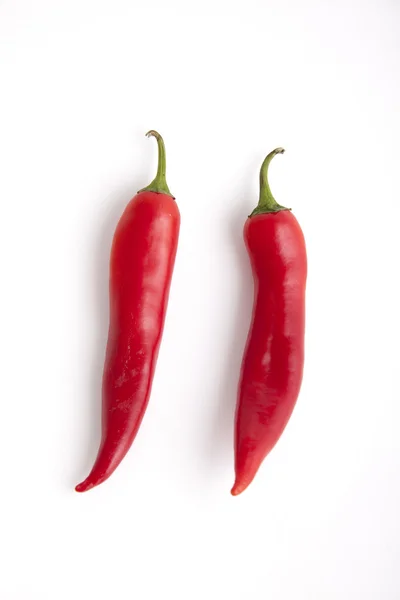 Pimienta picante — Foto de Stock