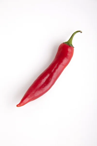 Pimienta picante — Foto de Stock