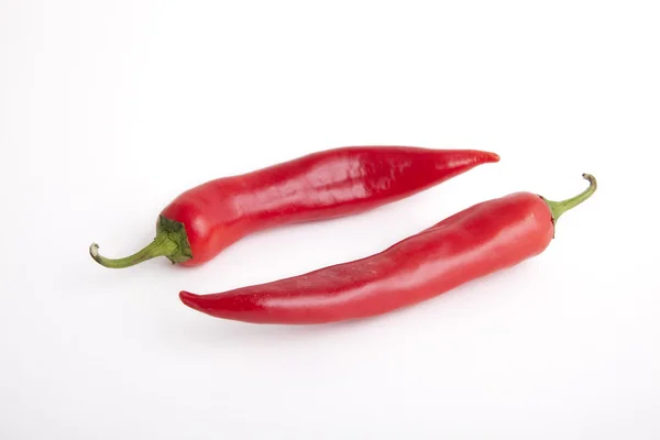 Pimienta picante — Foto de Stock