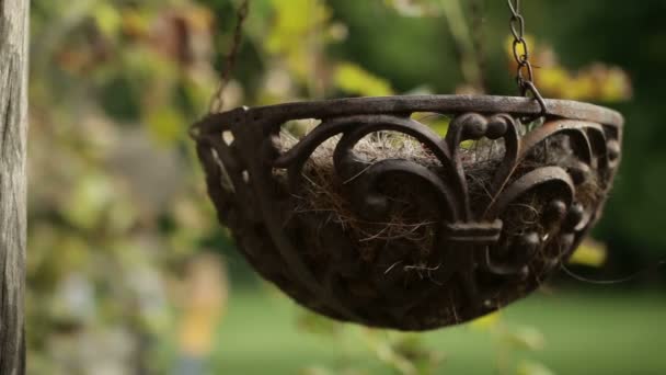 Hanging flower pot — Stock Video