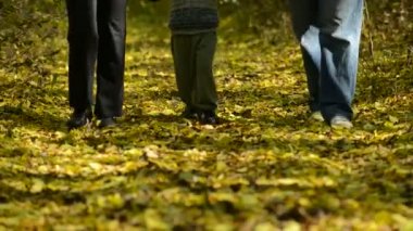 Aile ormanda yürüyor.