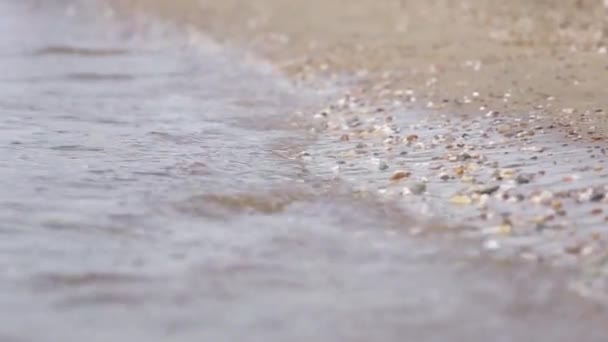 在阳光明媚的海滩上的鹅卵石 — 图库视频影像