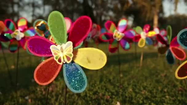 Viento juguete giratorio para niños — Vídeo de stock