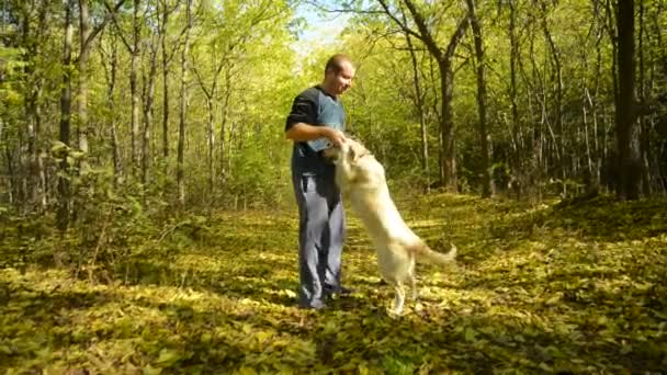 Hombre jugando con su perro — Vídeos de Stock