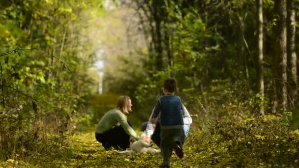 Familie wandeling in het bos — Stockvideo