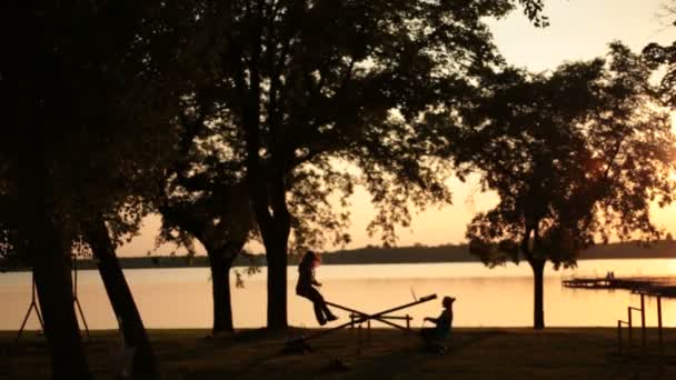 Young people are the playground swing in the sunse — Stock Video