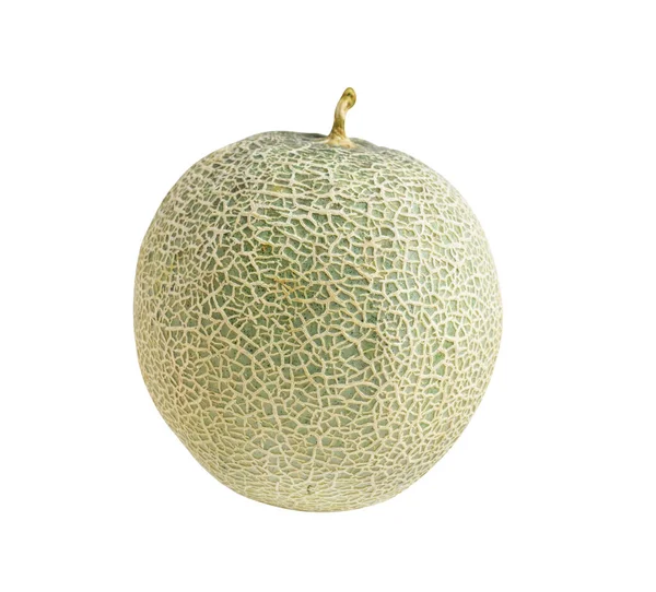 탈루프 Melon 과일의 낱장으로 분리되고 배경에 그림자도 — 스톡 사진