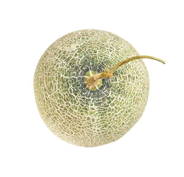 Fresh Cantaloupe Melon Japanese Fruit Isolated Clipping Path Shadow White — Stock Photo, Image