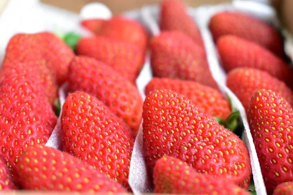 Fresh Harvested Strawberries Carton Box Wooden Background Close — Stock Photo, Image
