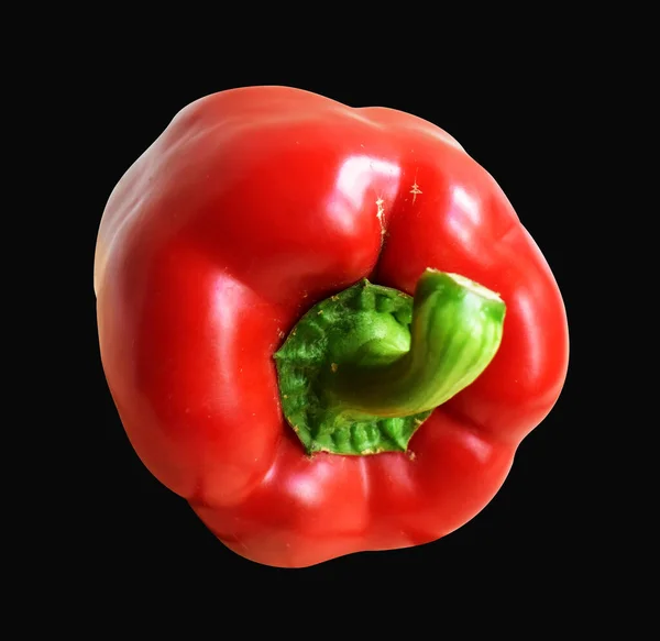 Rote Paprika Isoliert Auf Weißem Hintergrund Mit Clipping Pfad Kein — Stockfoto