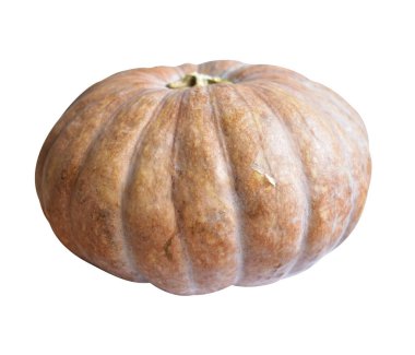 Dilimlenmiş balkabağı ya da balkabağı parçaları beyaz arka planda kırpma yolu var, gölgesi yok