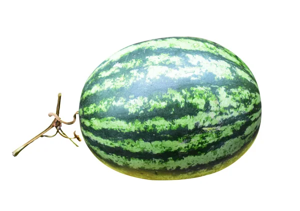 Eine Reihe Von Frischen Wassermelonen Isoliert Weißem Hintergrund Mit Clipping — Stockfoto